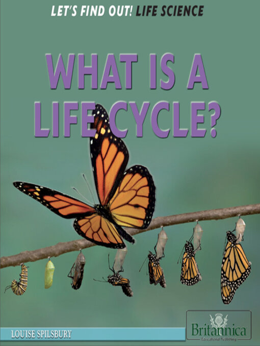 Title details for What Is a Life Cycle? by Hope Killcoyne - Available